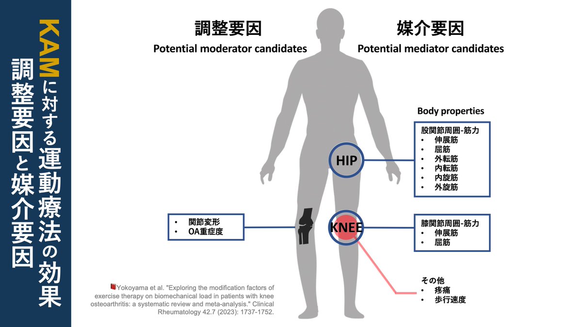 copellist's tweet image. 運動器最新エビデンス💡
"KAMの意外な真実"

■ 当該文献のnote文献抄読, 𝕏 post
🌱note：note.com/super_human/n/…
𝕏：x.com/copellist/stat…

是非, いろいろな形での文献抄読をご覧ください🙇
#KAM #膝関節内反モーメント
#変形性膝関節症 #膝OA #膝関節 #膝