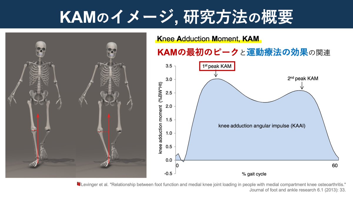 copellist's tweet image. 運動器最新エビデンス💡
"KAMの意外な真実"

■ 当該文献のnote文献抄読, 𝕏 post
🌱note：note.com/super_human/n/…
𝕏：x.com/copellist/stat…

是非, いろいろな形での文献抄読をご覧ください🙇
#KAM #膝関節内反モーメント
#変形性膝関節症 #膝OA #膝関節 #膝