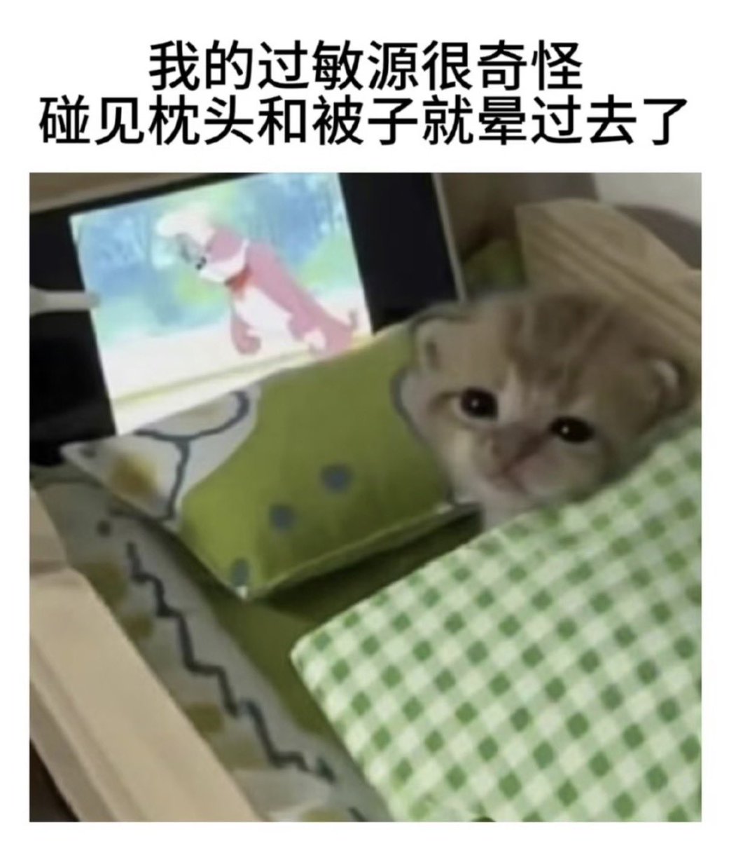 禿道道🐟 tweet media