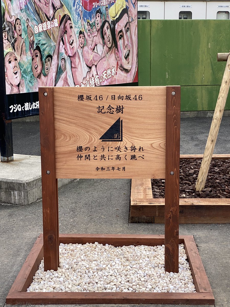 柘榴 古書肆の飼い猫 tweet media