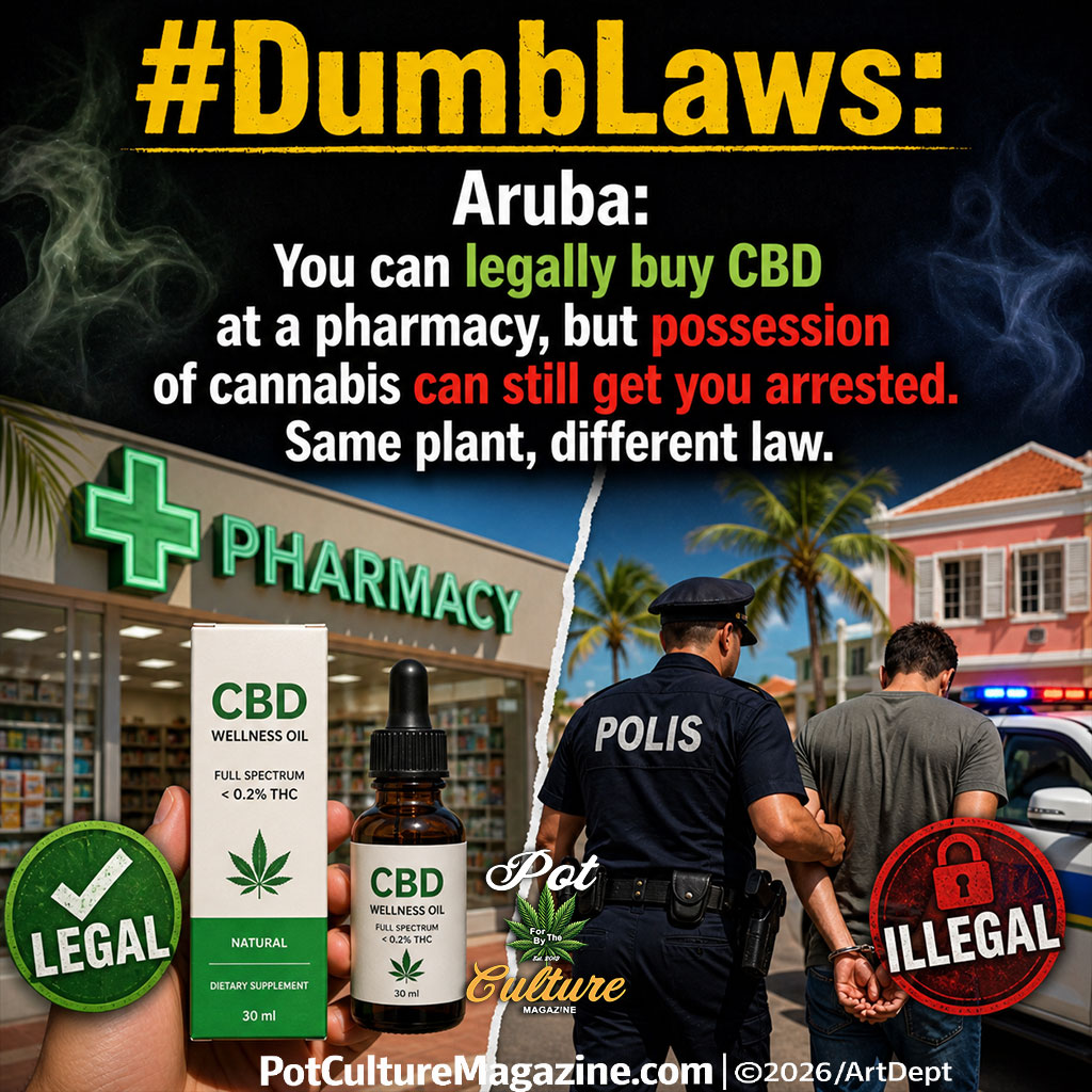 PotCultureMag's tweet image. #DumbLaws: Aruba: You can legally buy CBD at a pharmacy, but possession of cannabis can still get you arrested. Same plant, different law. #PotCultureMagazine #Aruba #Cannabis #WeedLaws #CannabisCulture #CBD #420Community #DrugPolicy