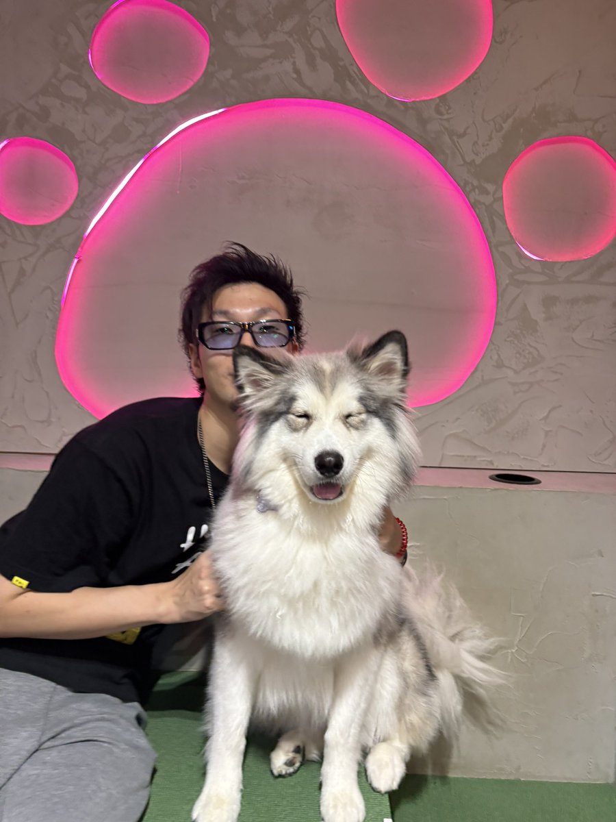 松本 吉弘 tweet media