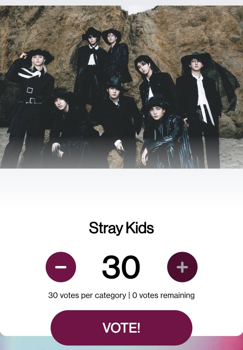 Stray Kids Brasil tweet media