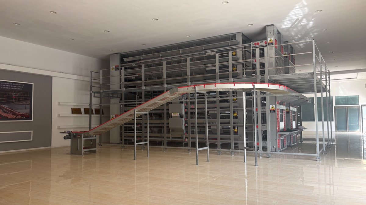 boke_162's tweet image. Automated poultry cage systems designed for streamlined workflows, animal welfare, and reliable, long-term farm operations. Built to scale, built to perform.#PoultryEquipment #AgriTech #FarmAutomation #LivestockFarming #SustainableAg
