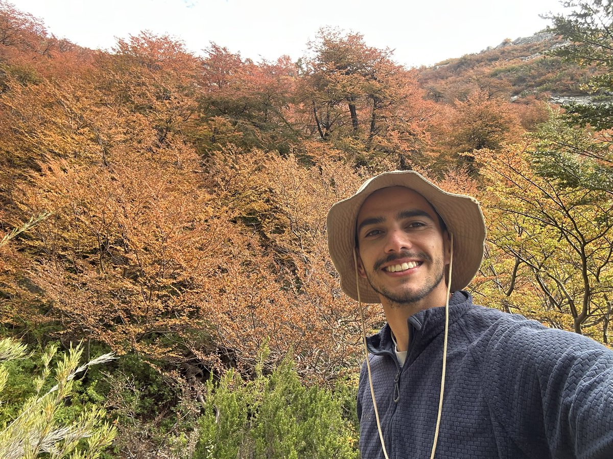 El Batián 🌳 tweet media