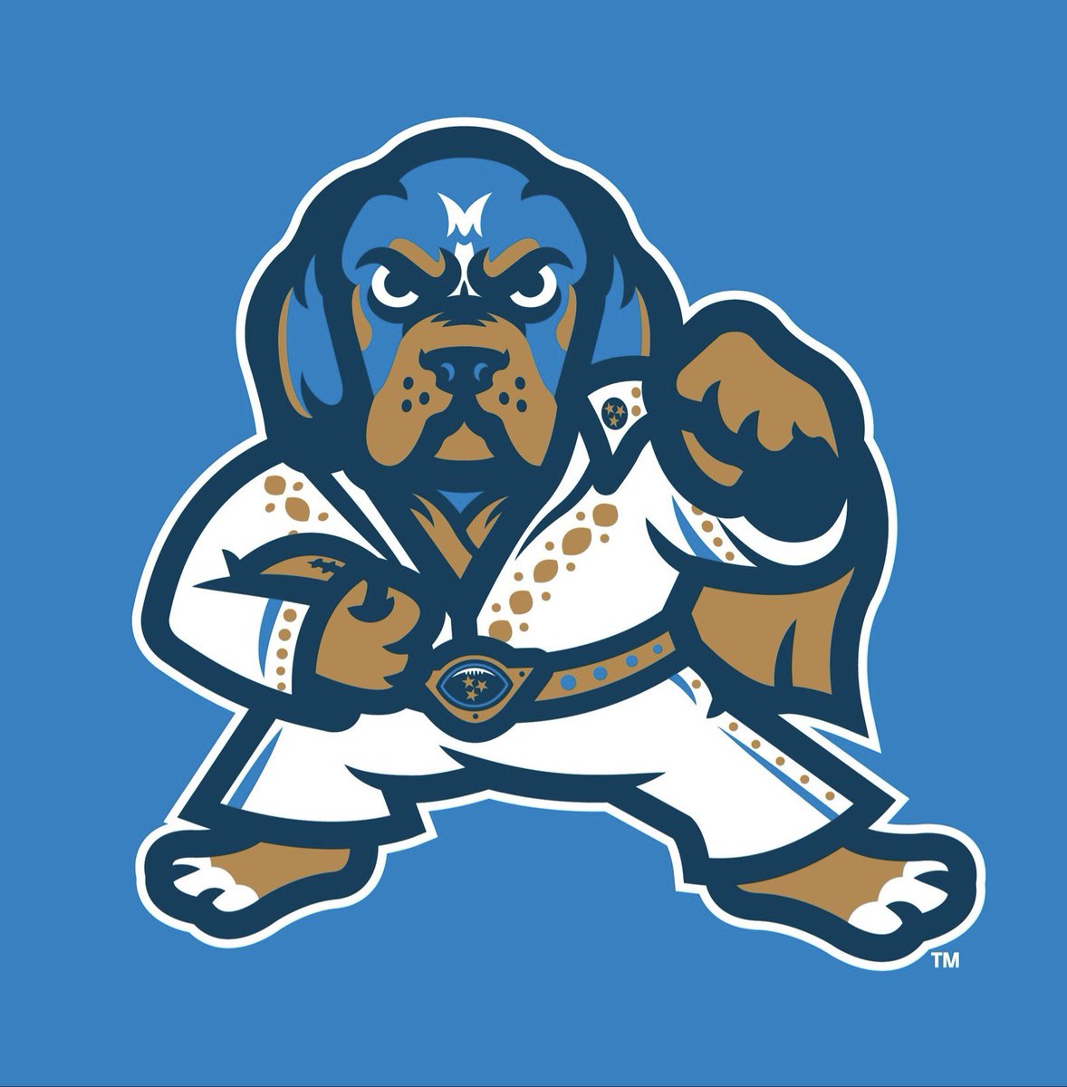 Memphis Hound Dogs tweet media
