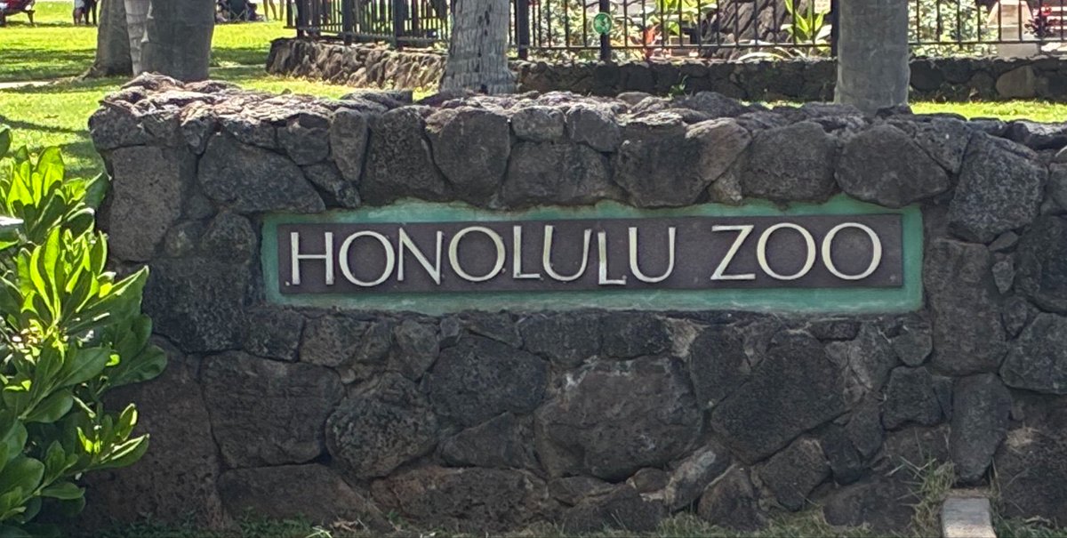 cajunduke's tweet photo. Zoo Day
#Dukeszoolist
#DukeFamily_2026
#Vacation 
@thehonoluluzoo https://t.co/JmRhsLOnzv