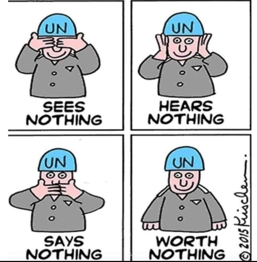 Eli Afriat 🇮🇱 tweet media