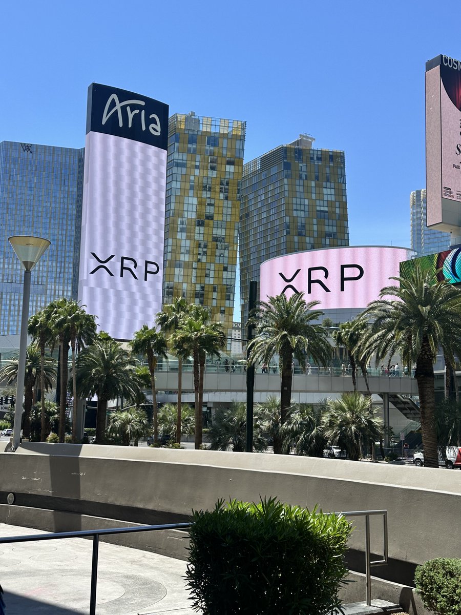 XRPmegalodon tweet media