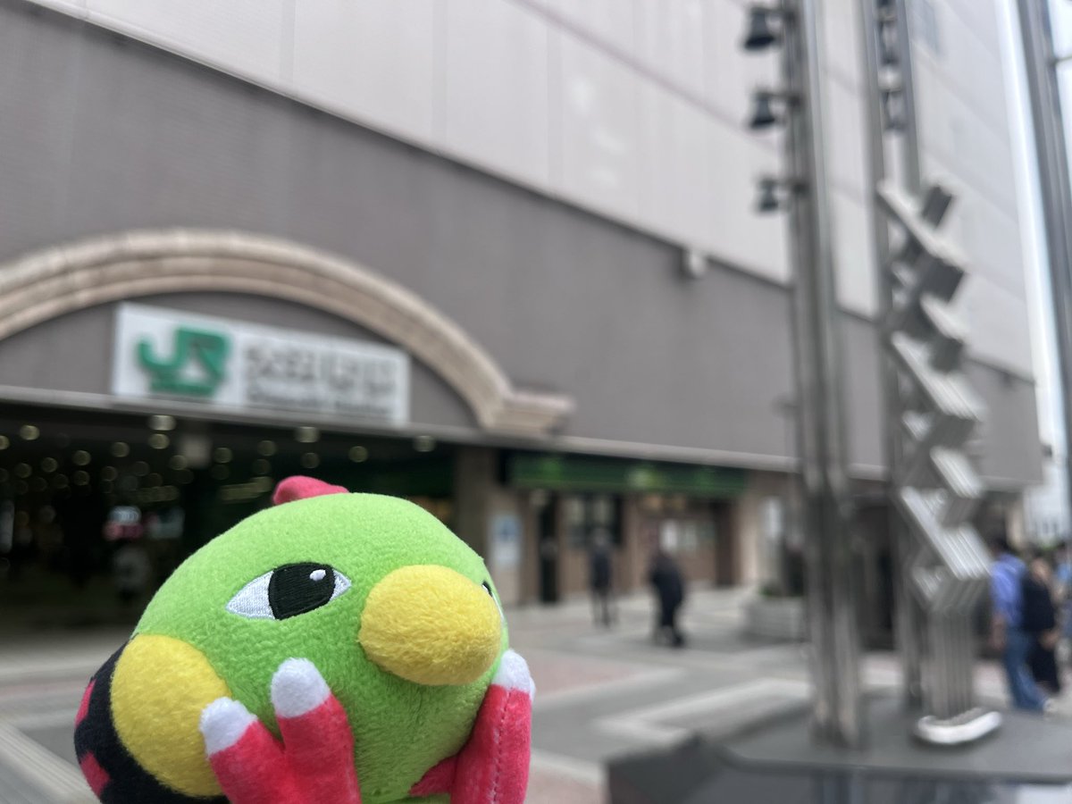 ねいてぃおーね tweet media