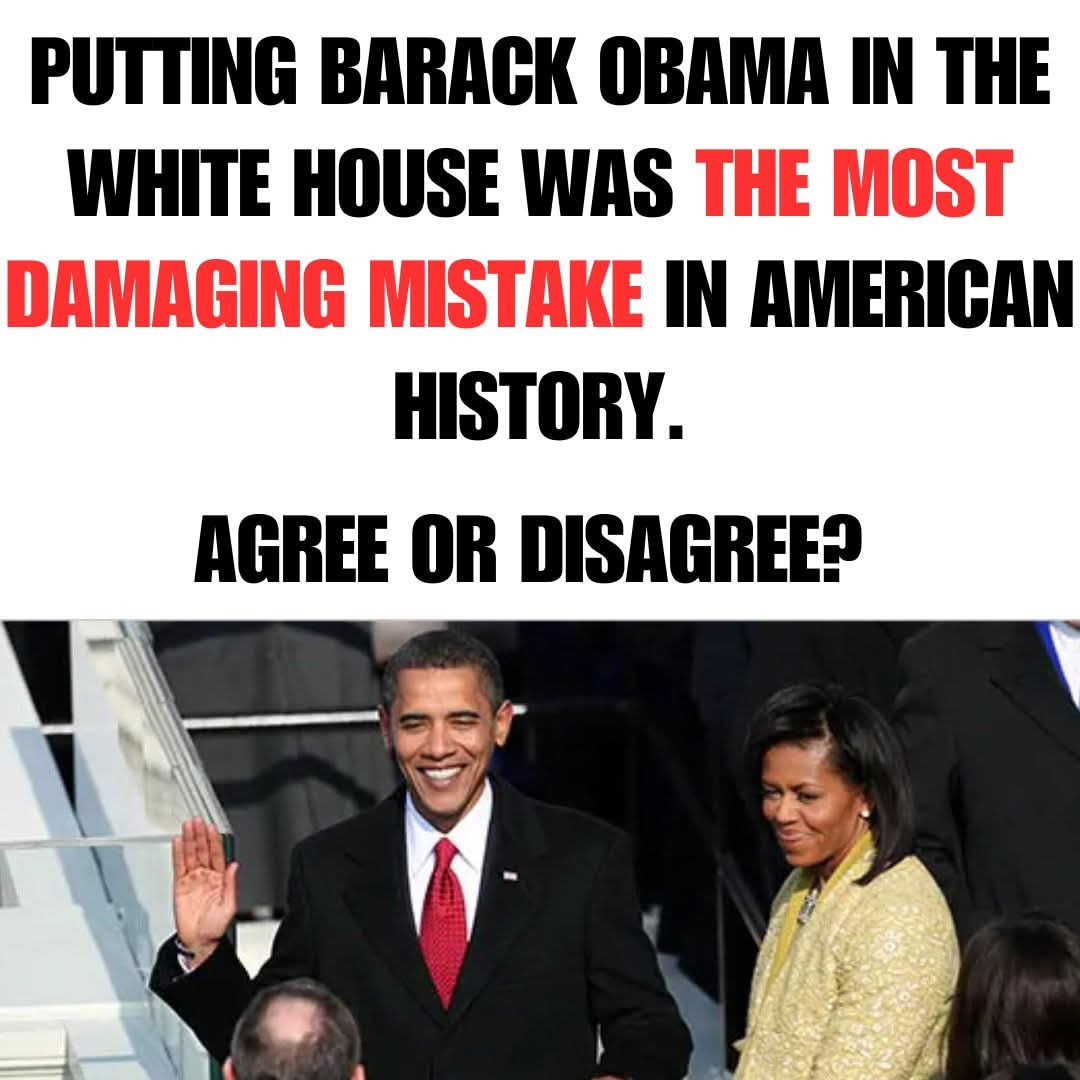 Sassafrass84 tweet media