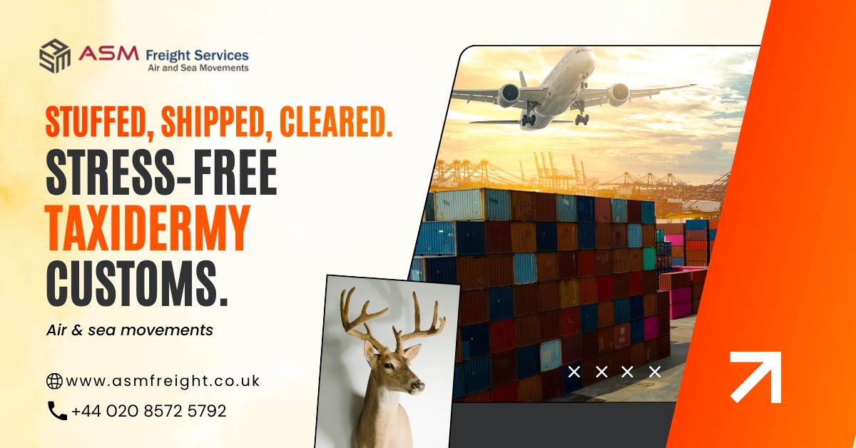 AsmFreight's tweet image. Leave the customs headache to us.

ASM Freight — Air &amp;amp; Sea Taxidermy Specialists 🌐
📞 +44 020 8572 5792 | asmfreight.co.uk
#TaxidermyLovers #FreightForwarding #ASMFreight #CustomsClearance #TrophyHunter