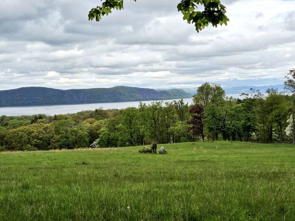 My4EverWorld's tweet image. Today's walk😌♥️🌱 the view was just uplifting and amazing.
#nature #relax #spring