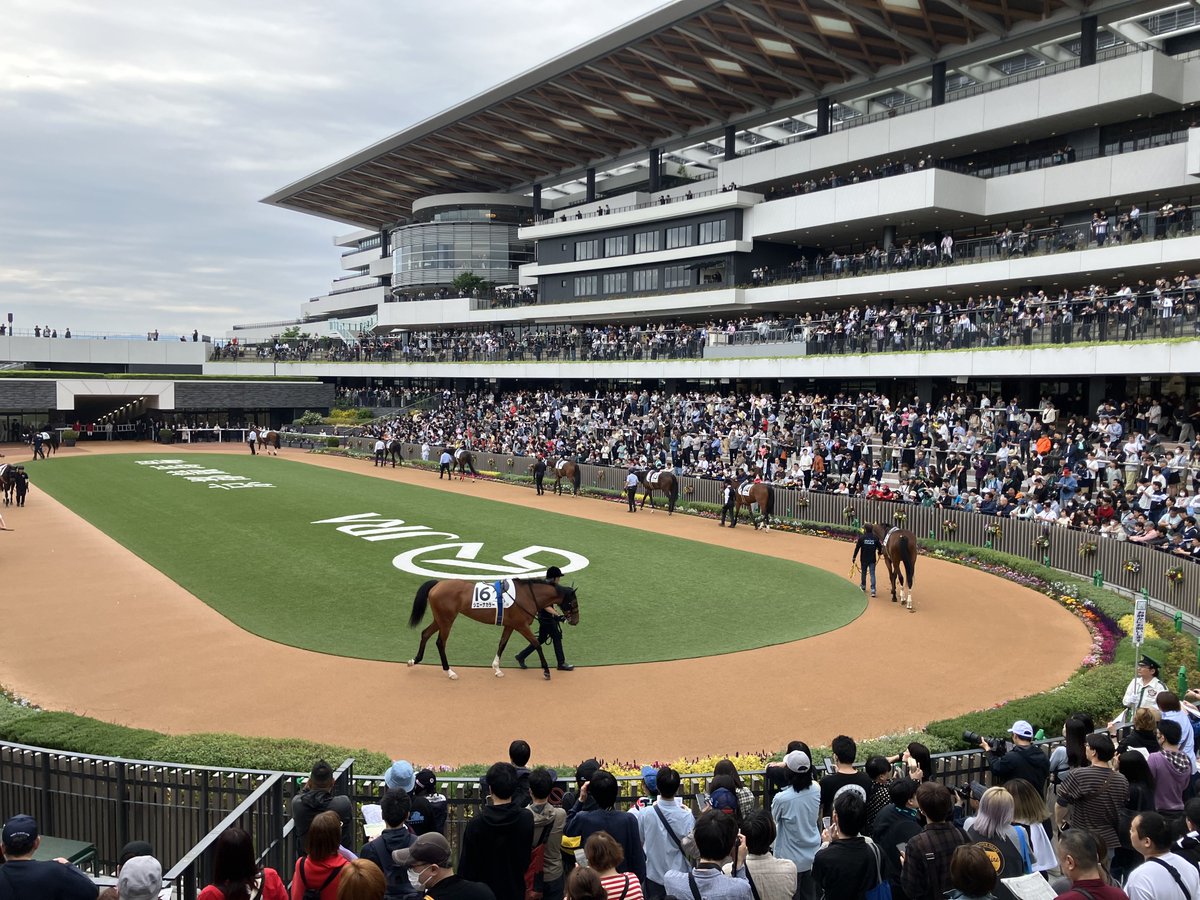 日刊ゲンダイ　競馬 tweet media