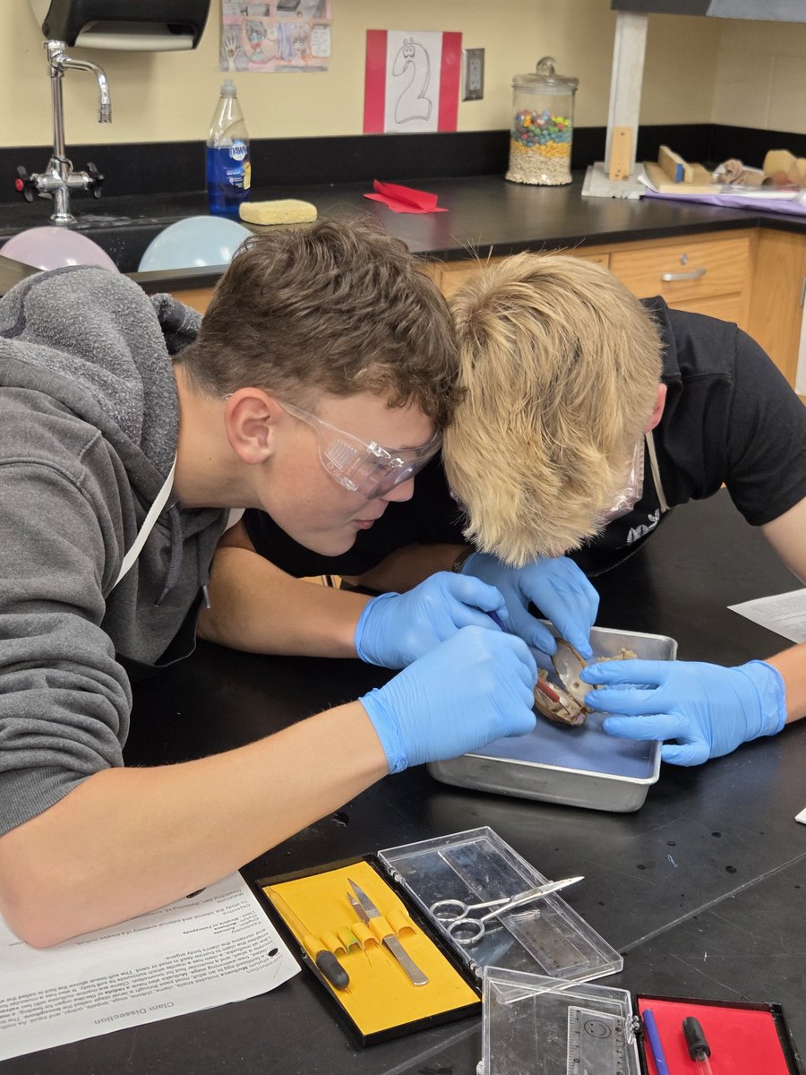 EHS Life Sciences - Rachel Hauck tweet media