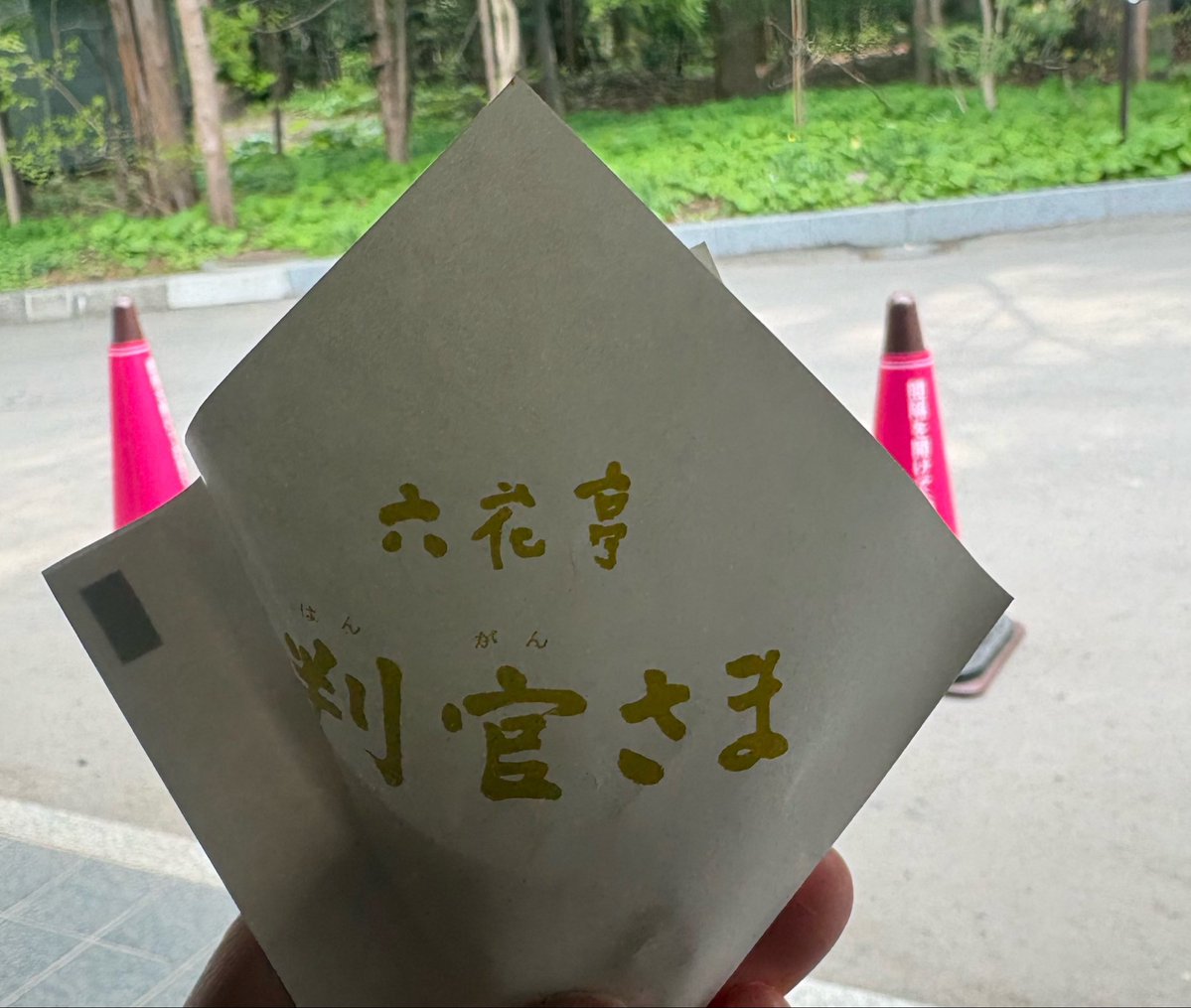 初樹 tweet media
