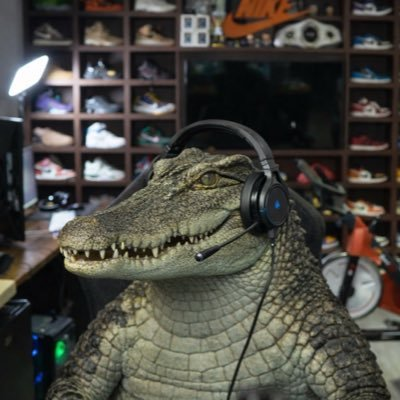 vasqq tweet media