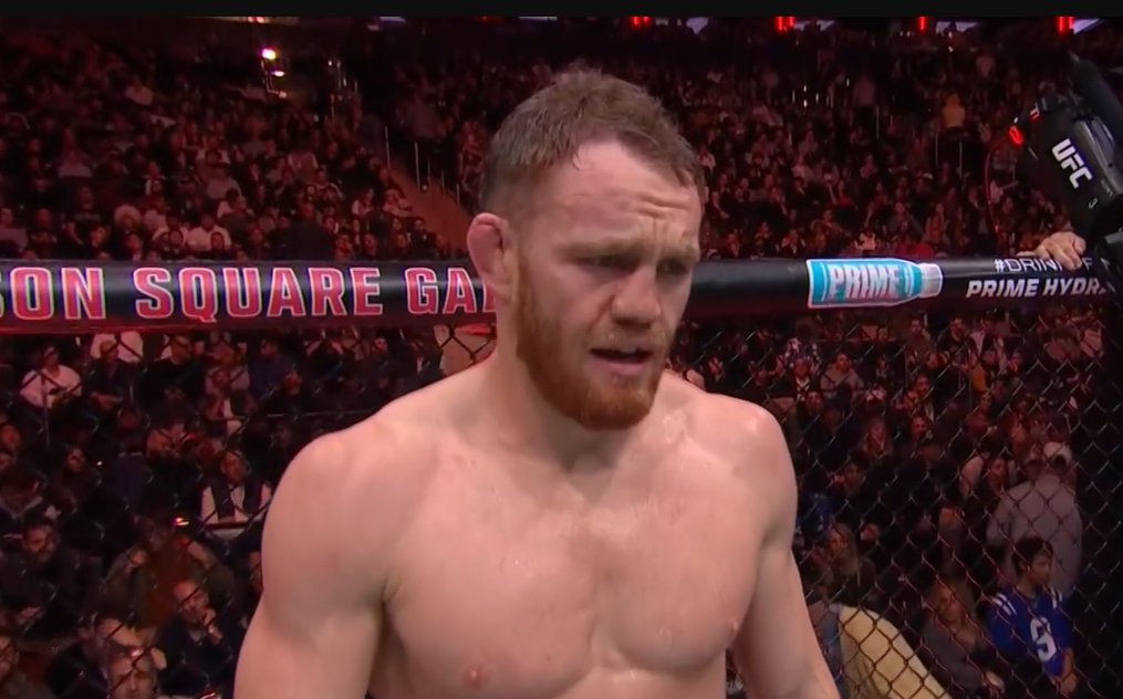 The Fight Fanatic tweet media