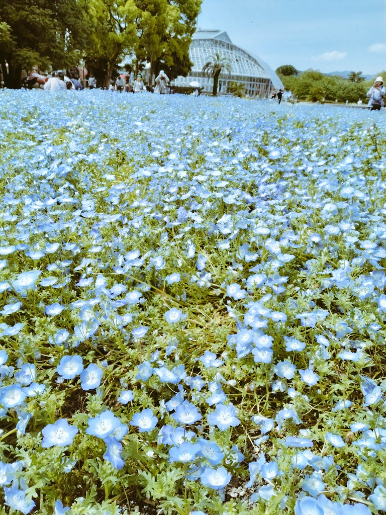 あいちりん tweet media