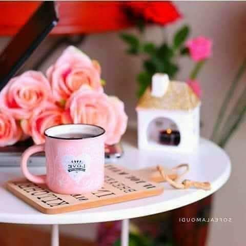 ᰔᩚ پگلا کہیں کا 2 ᰔᩚ tweet media