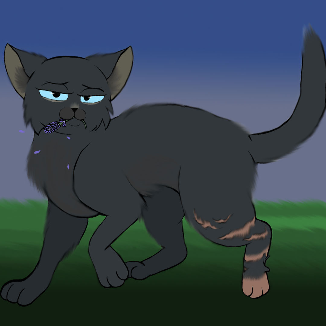 TArtist2020's tweet photo. Cinderpelt 
#warriorcats #erinhunter #medicinecat https://t.co/KF3DqwcJJu
