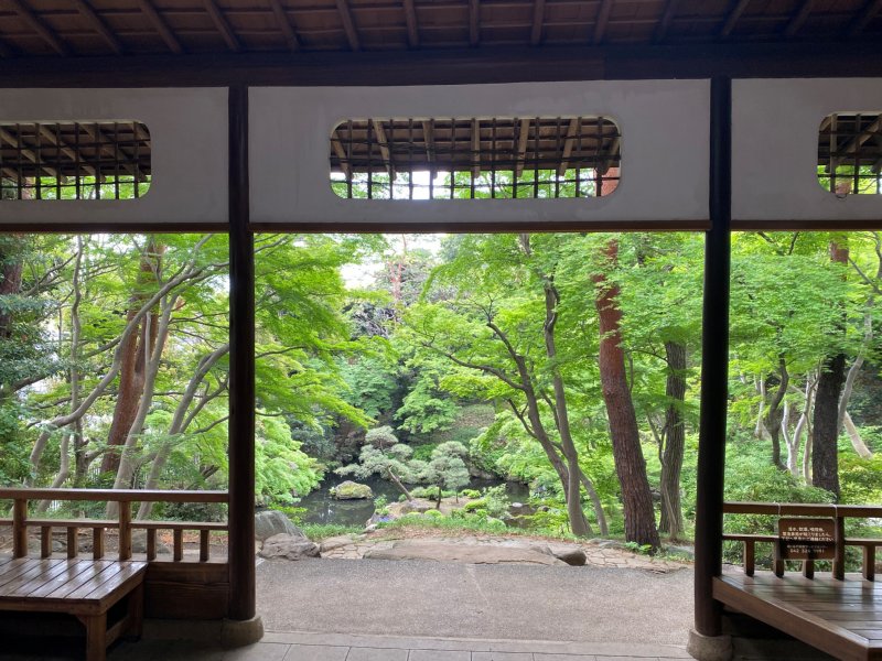 殿ヶ谷戸庭園 (@TonogayatoTeien) / Posts / X
