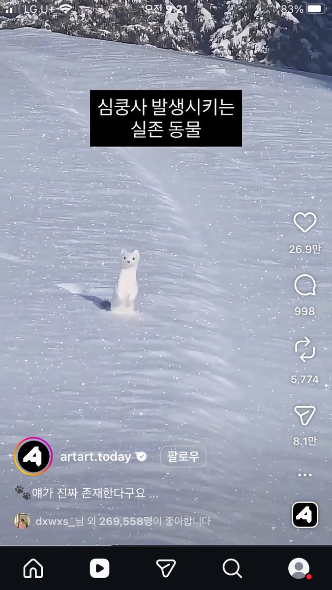 민트 tweet media