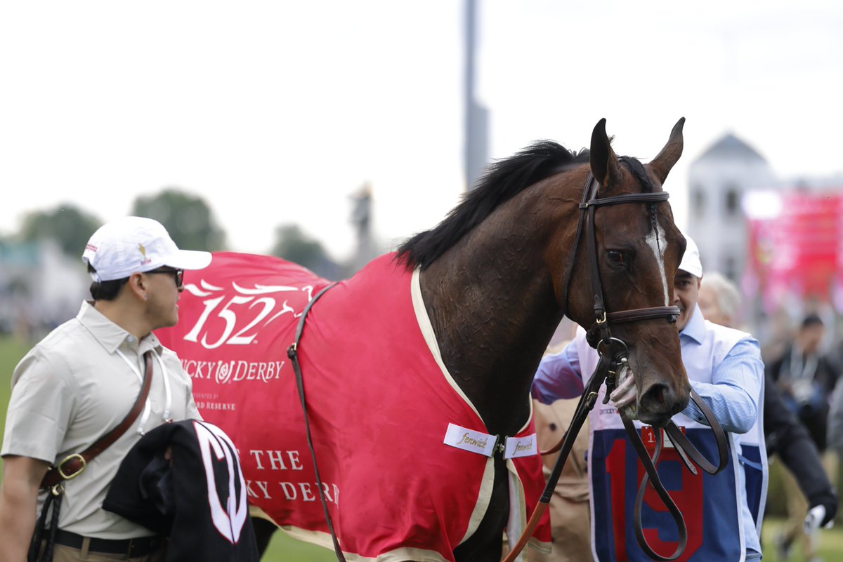 競馬ラボ tweet media