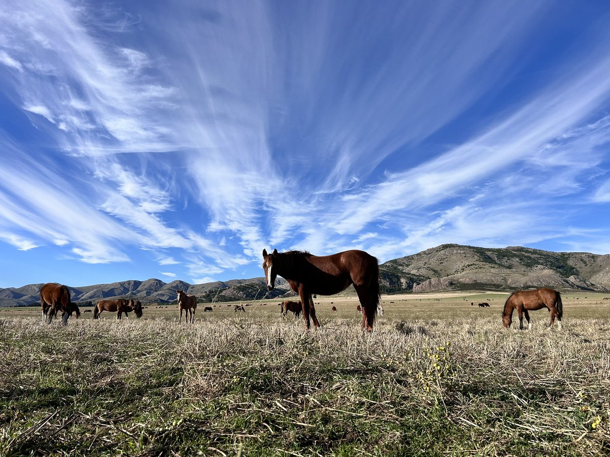 Santi_v7's tweet image. ⛰️🐎 #sabado