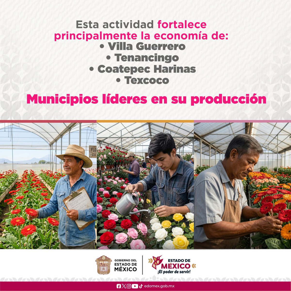 Gobierno del Estado de México tweet media