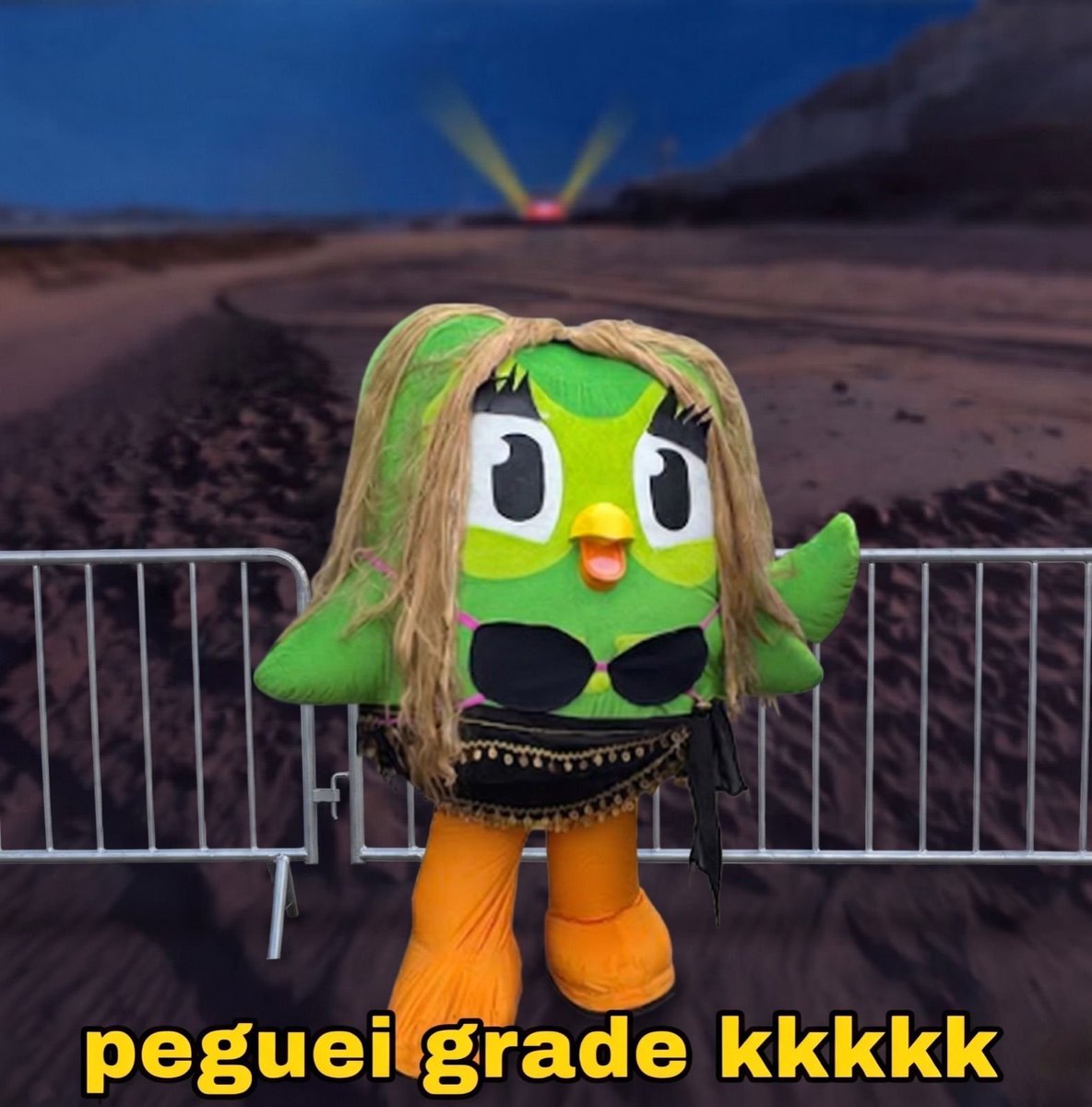 Duolingo Brasil 🇧🇷 tweet media