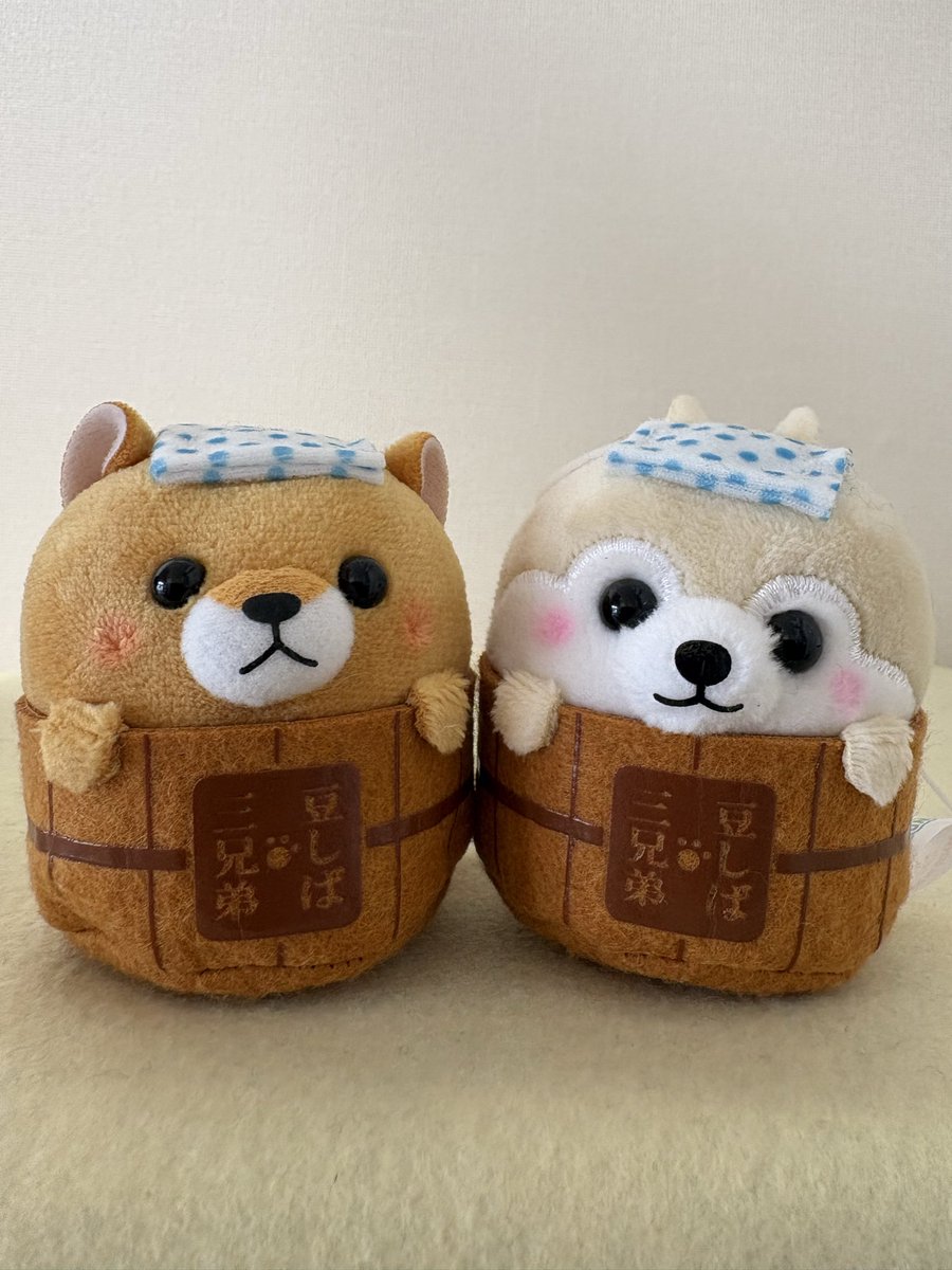 CatPawPaw2020's tweet photo. おはようございます！
ねこ雑貨ぽ〜ぽ〜です🐾

5/3（日）オープンしました♪

🌸GWセール開催中🌸

本日のおすすめ✨
🐶豆しば三兄弟 温泉ぬいぐるみ♨️

ちょこんと入浴姿がかわいい癒し系
今ならセールでお買い得♪

🛍店頭・ネットショップで販売中！
在庫限りなのでお早めに🐾✨

#豆しば三兄弟 https://t.co/nrqoxrYXzQ