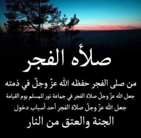 صنعانيه جامعيه tweet media