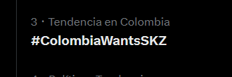 Stray Kids Colombia tweet media