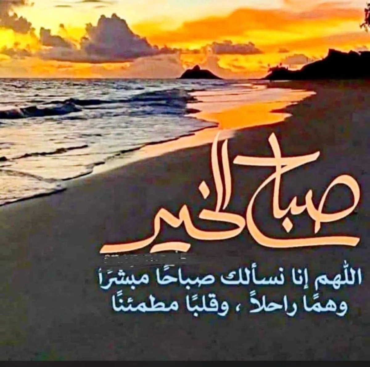 سعـ🇴🇲السعيد🇴🇲ـيد tweet media