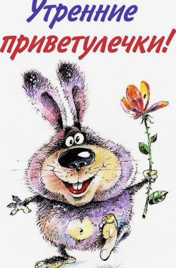 Ксения🦊 tweet media