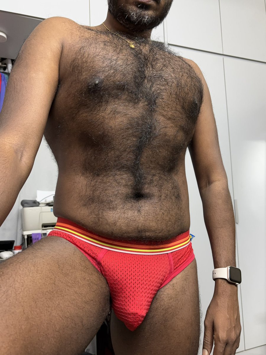 🐻 tweet media