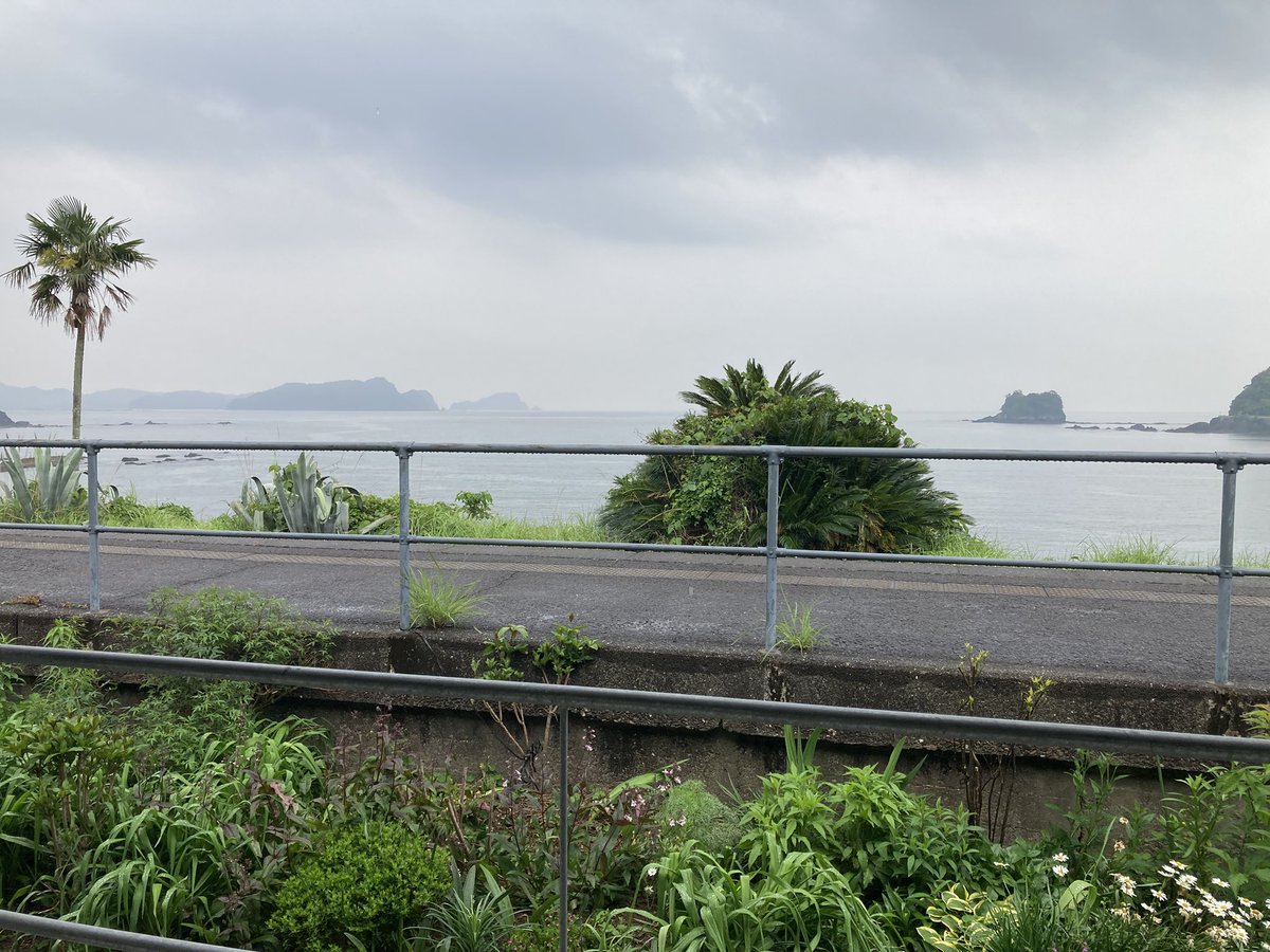 なぜ自宅外受け取りを選ばなかったのか٩( ᐛ )و
雨宿り30分してからもう少しだけ歩きまーす