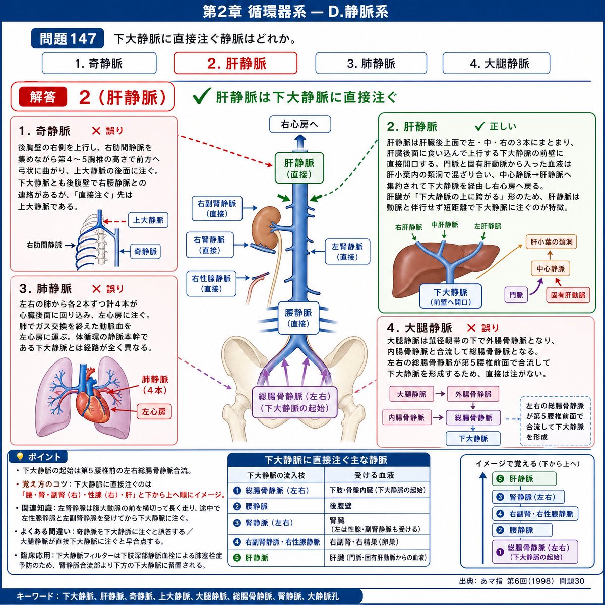 GPT Image2による国試解説資料作成 生理学は機能の学問なので、AI