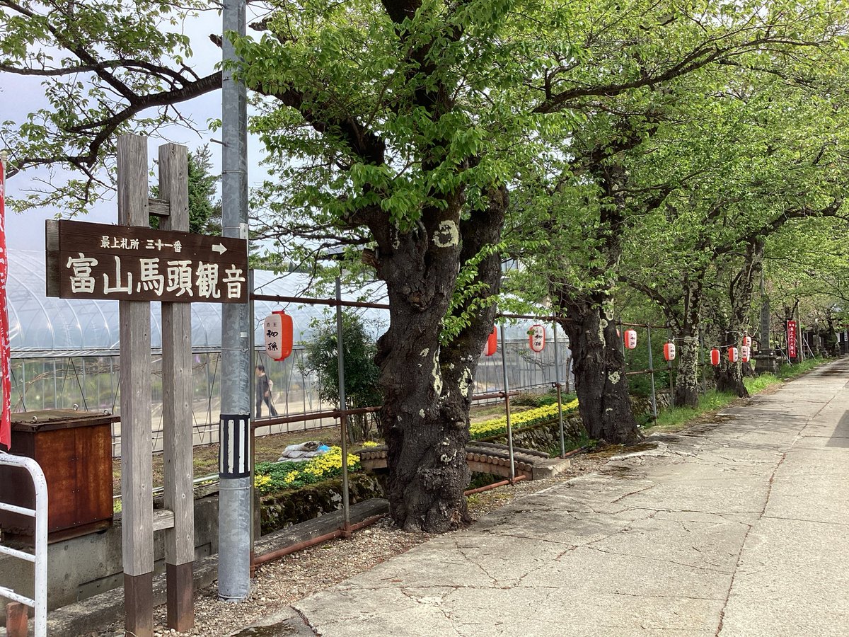 mogamiSSC's tweet photo. 🏮【富山馬頭観世音春大祭開催】🏮

富山観音太鼓をはじめ、催しを一目みようと早くからお客さんが訪れています☺️
ぜひお越しください♪

#山形県
#最上町 
#富山馬頭観音
#春大祭 https://t.co/dqrSsyUod6