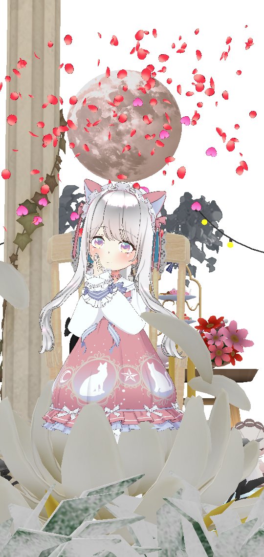 Noa🫒🍓🫐リアル最優先 tweet media