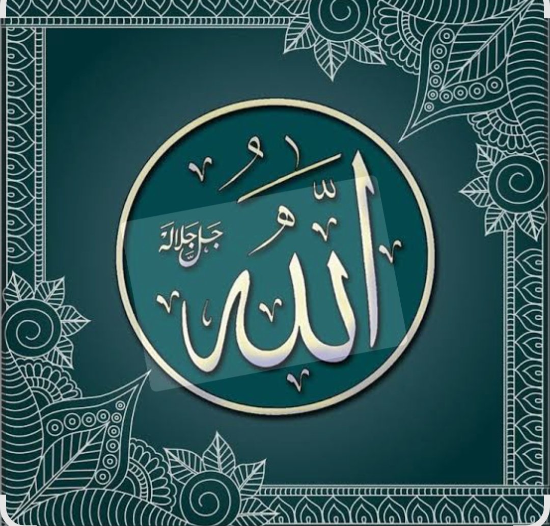 ابو مصطفى tweet media