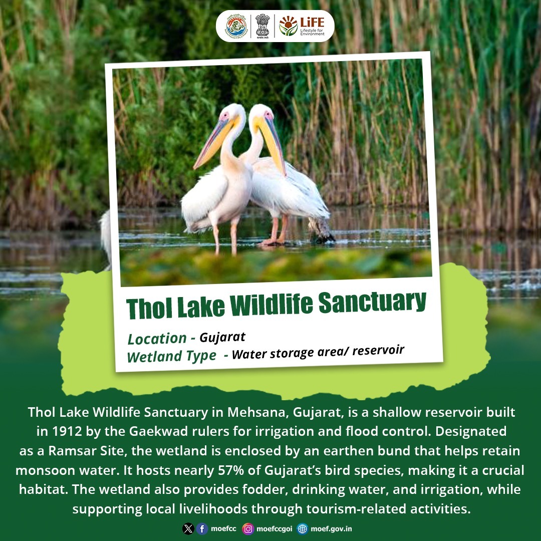 HeerDesai20's tweet image. Enclosed by an earthen bund that retains monsoon water, Thol Lake is a vital habitat for migratory and resident birds while aiding flood control and irrigation.
#Wetlands
#MissionLiFE
#ProPlanetPeople