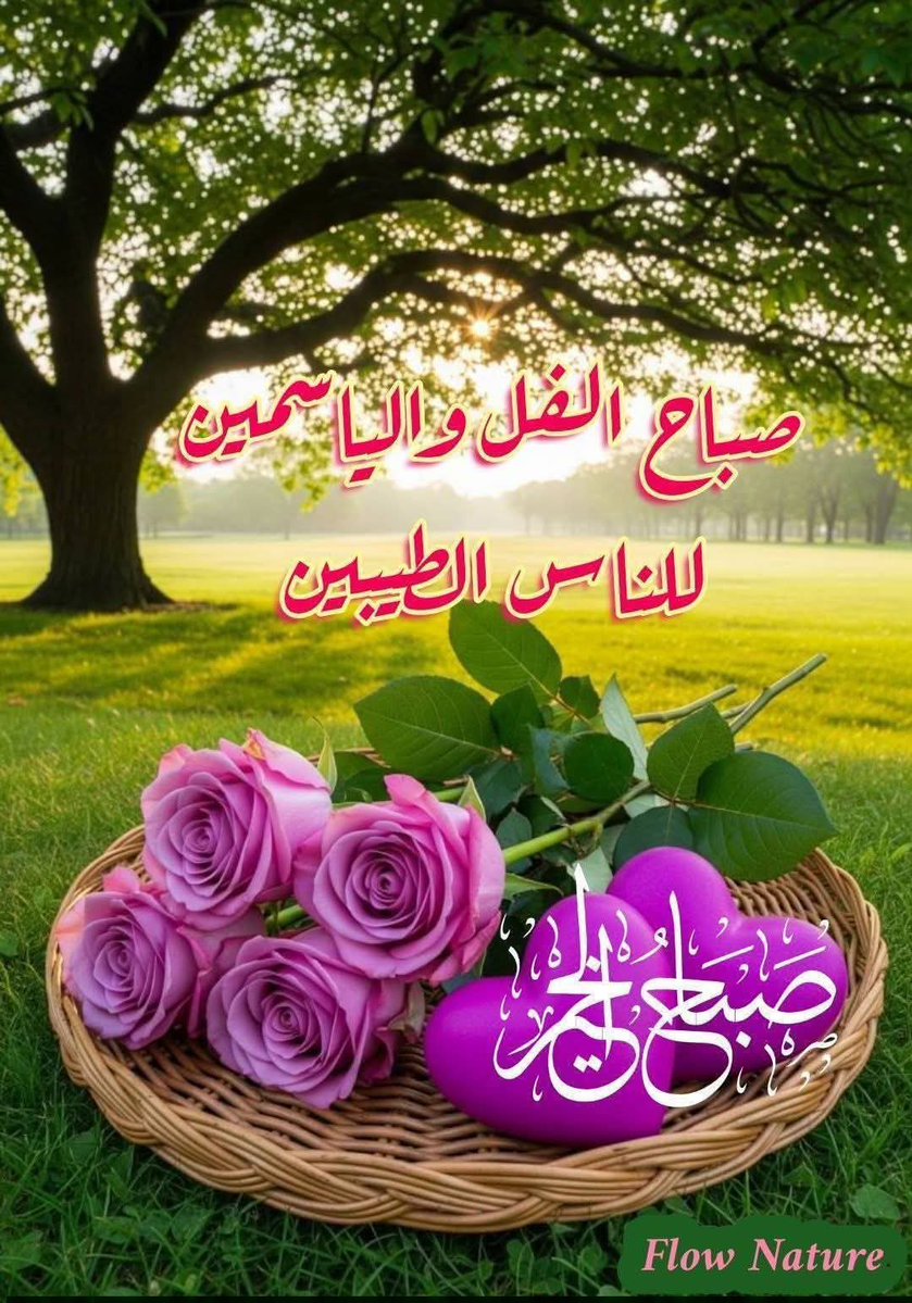Hanadi Saadeh tweet media