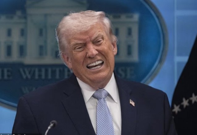 Wingerr666's tweet image. #TAFU
#TrumpEpsteinFiles
#TACO