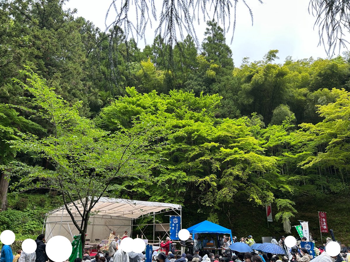 乙女峠ミサ。
復活節第5主日のミサ。
雨に備えて開始を20分早くしていた。
ミサ中の写真は撮ってない。
雨の合間の新緑に囲まれて瑞々しい光景。
