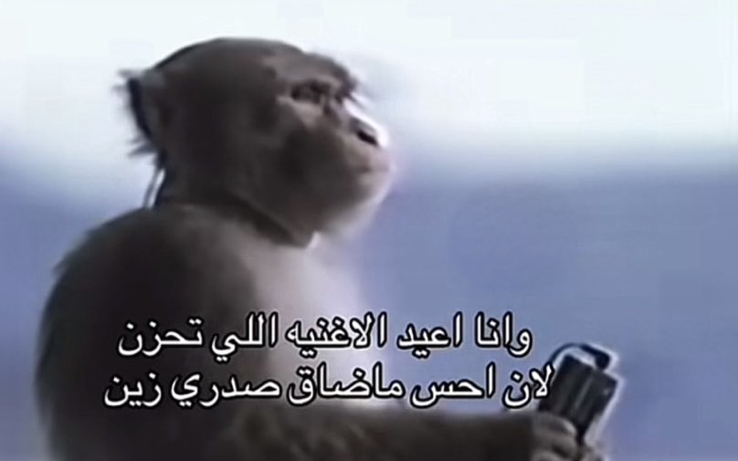إلهآم البدر tweet media