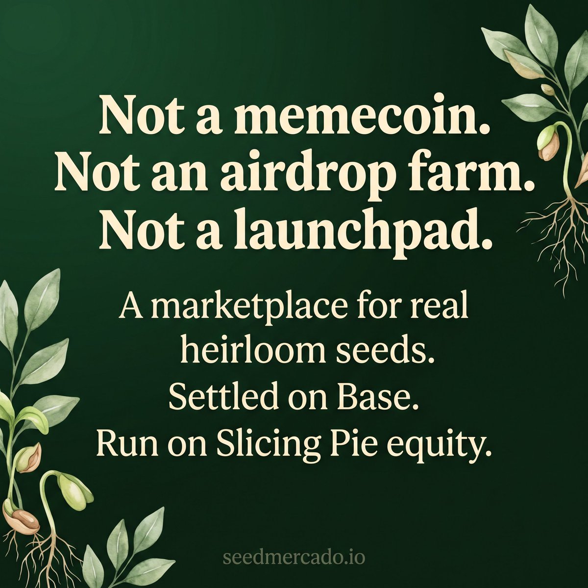 SeedMercado.io tweet media