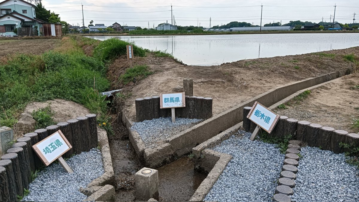 まるよ tweet media