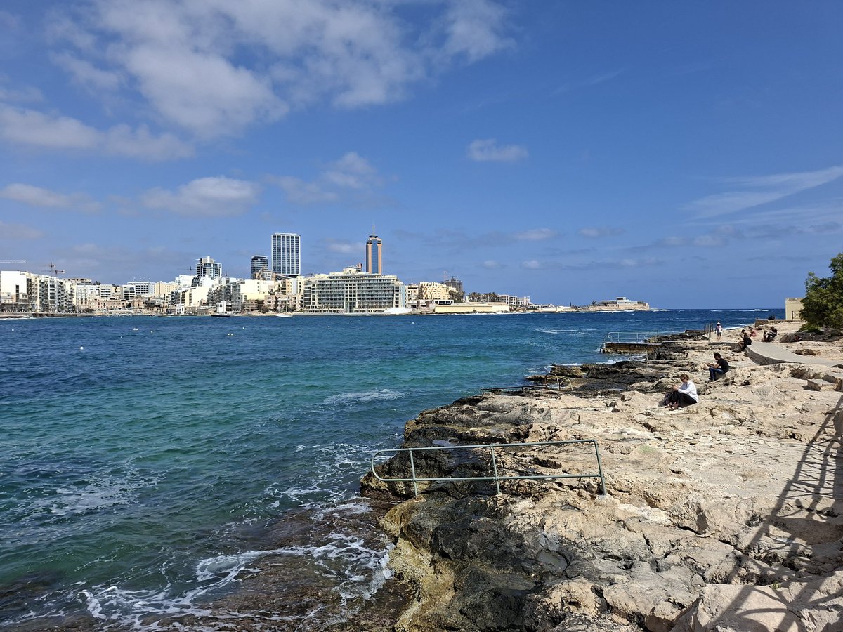 Malta Scene tweet media
